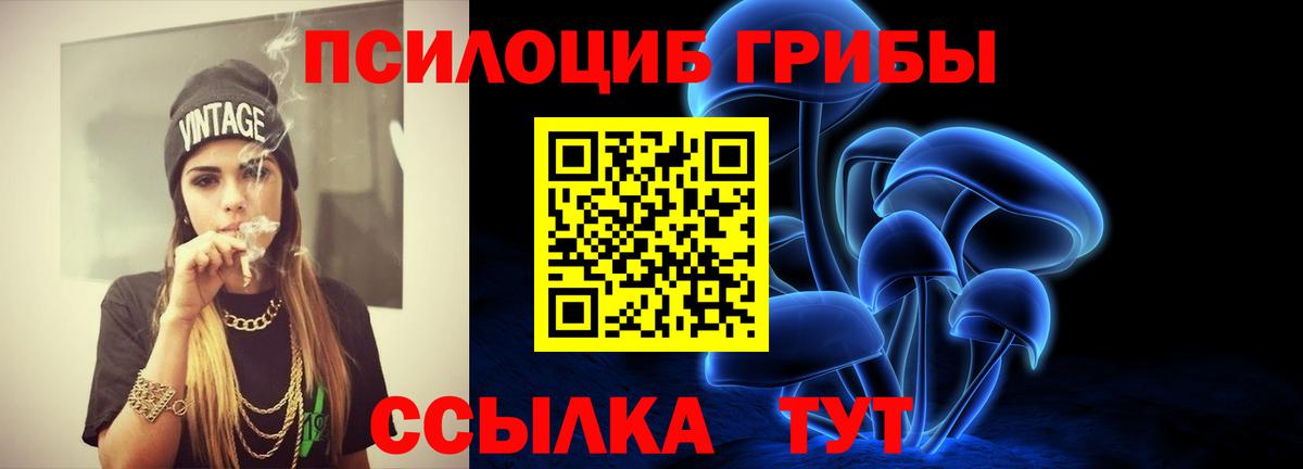 купить закладку  Вход с VPN  Псилоцибиновые грибы Cubensis  Семилуки  Галлюциногенные грибы прущие грибы 