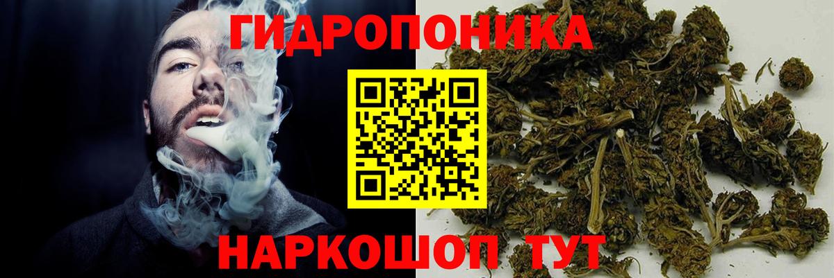 Каннабис ГИДРОПОН  Канабис семена  Семилуки  Вход с VPN  Каннабис конопля  Шишки марихуана конопля 